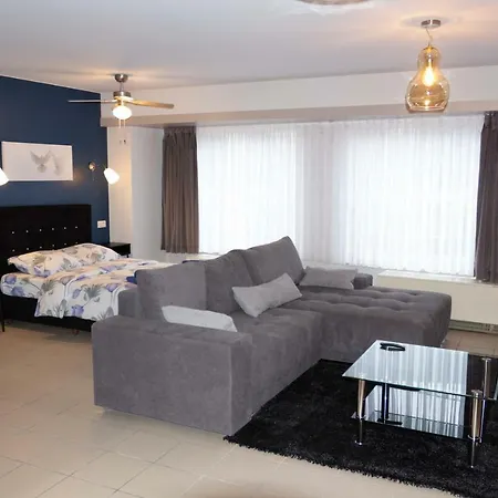 Renovated In Center شقة