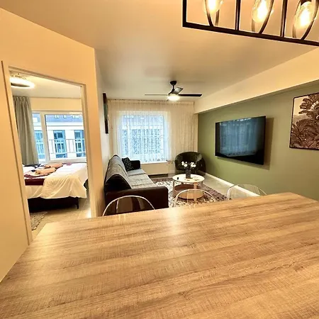 Renovated In Center Apartment Antwerp