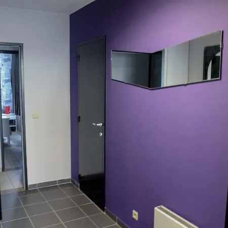 Renovated In Center Antwerp