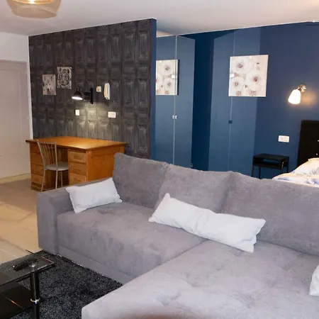 Apartment Renovated In Center *